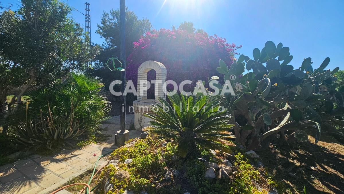 https://captocasa.es/storage/images/168/9f01368e-a4bb-461a-a236-a75fe0d10bfe.jpeg