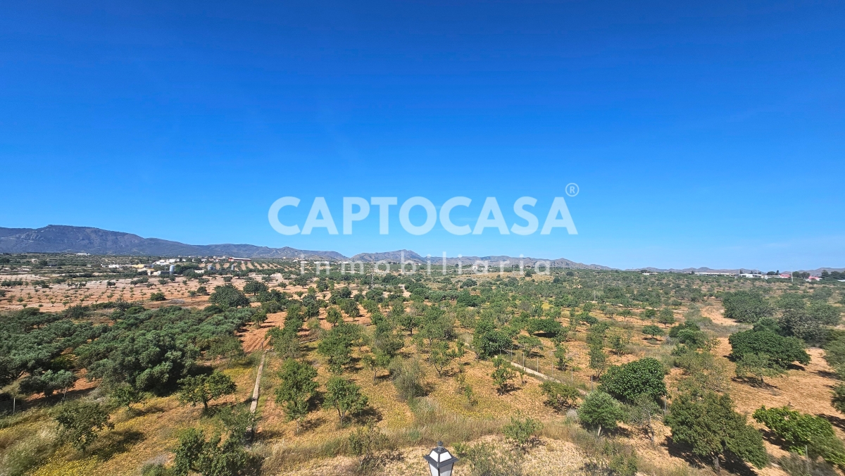 https://captocasa.es/storage/images/168/9f0136c4-5cdb-4b11-b690-07b120fa74b7.jpeg